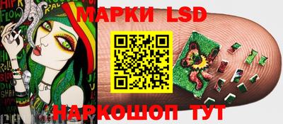 мяу мяу мука Малгобек
